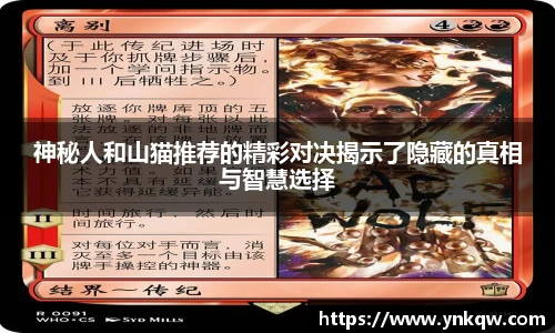 神秘人和山猫推荐的精彩对决揭示了隐藏的真相与智慧选择
